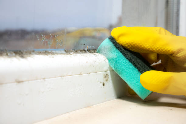 Best Crawl Space Mold Removal  in Athens, AL