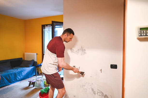 Best Crawl Space Mold Removal  in Athens, AL