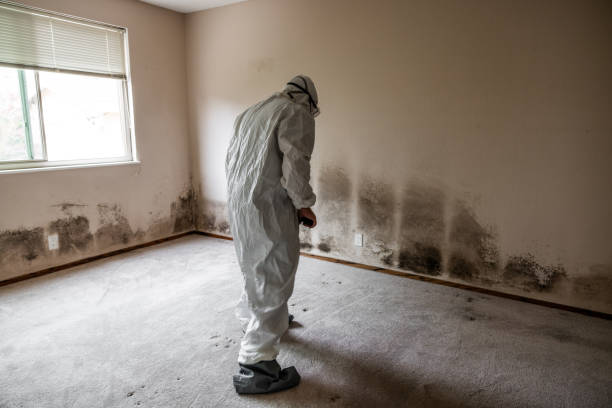 Best Residential Mold Removal  in Athens, AL